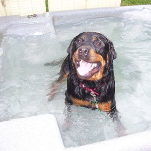 Meet your Posher, Alison